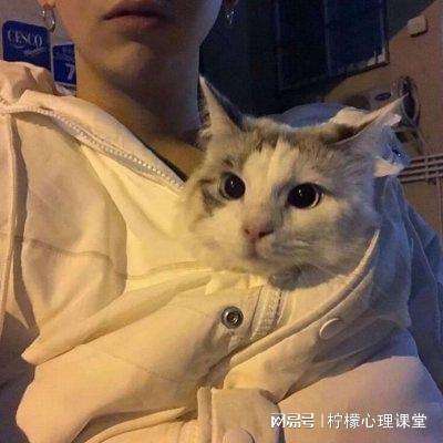 晨曦列车九游最新版下载