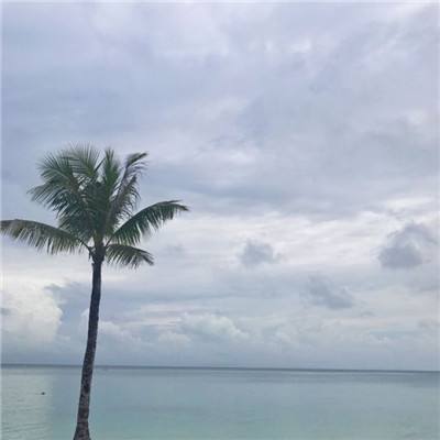 死亡沙漠手游官方下载
