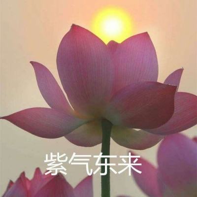 肚兜三国官方版下载
